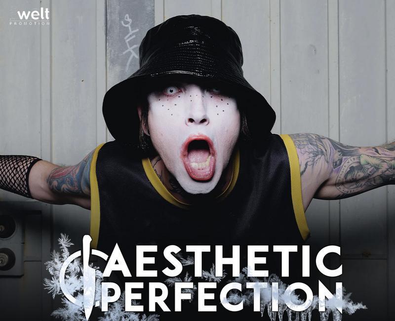 Aesthetic Perfection Konzert Berlin