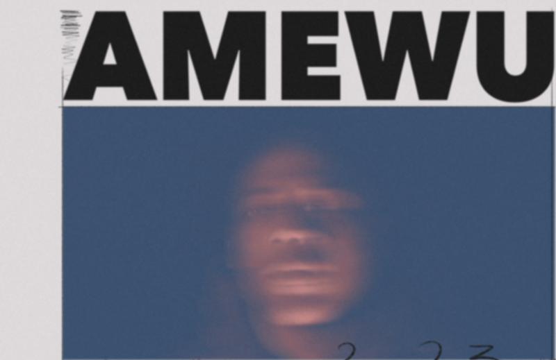 Amewu Konzert Berlin