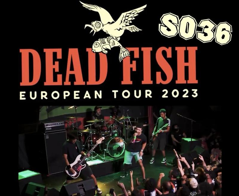 Dead Fish Konzert Berlin