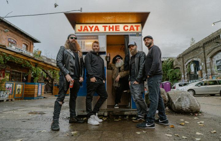 Jaya The Cat Konzert Berlin