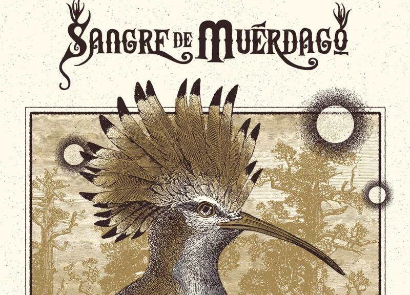 Sangre de Muerdago Konzert Berlin