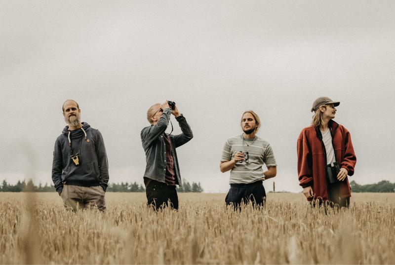 Seed to Tree Konzert Berlin