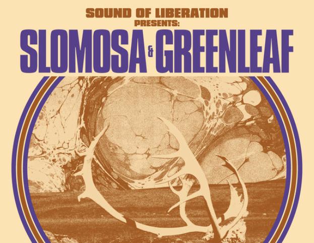 Slomosa + Greenleaf Konzert Berlin